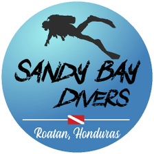 Sandy Bay Divers