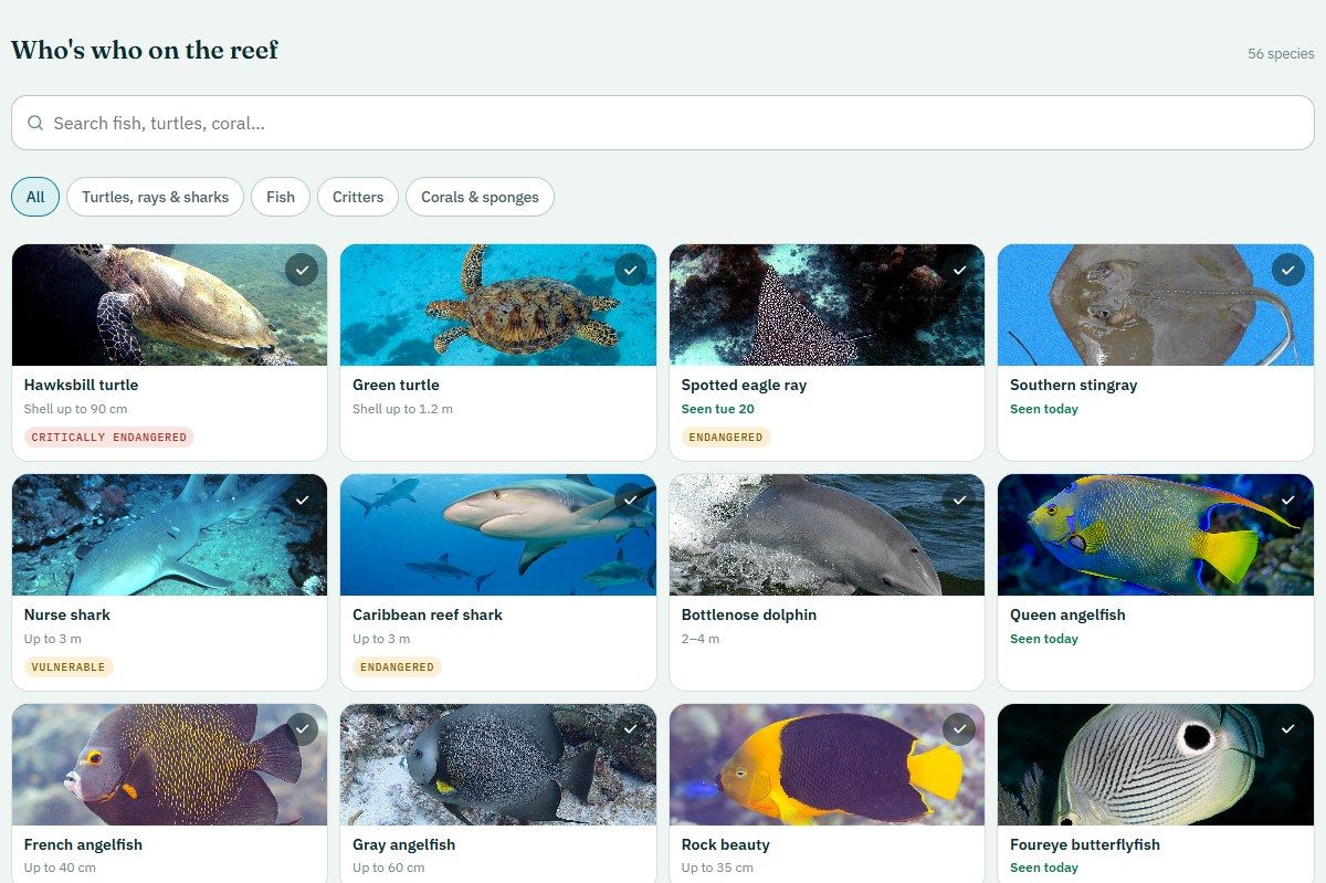 Species in the Reef Guide: turtles, rays, sharks and reef fish with photos